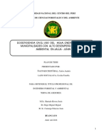 Informe de Monitoreo Ambiental Albacora a-06_marzo 2010