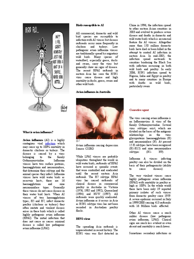 Understanding Avian Influenza Risks | PDF | Avian Influenza | Influenza