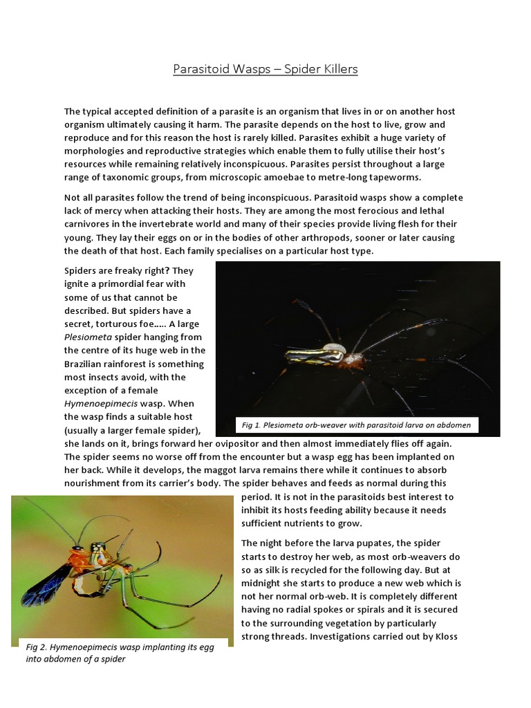 Parasitoid Wasps | PDF | Parasitism | Wasp