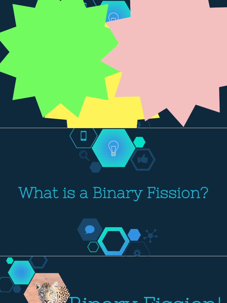 Understanding Binary Fission in Prokaryotes | PDF | Science & Mathematics
