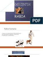 Rabia Humana