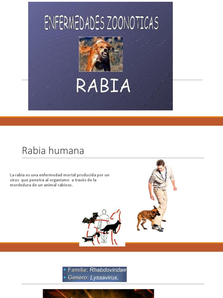 Rabia Humana | PDF | Rabia | Inmunología