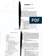 Texto Una - Auditoria I - 691 - Unidad 7 PDF