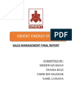 Orient Energy System: Sales Management Final Report