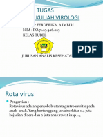 Rota Virus