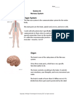 Organ System