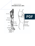 Meridian Tay Yin Kaki Limpa.docx