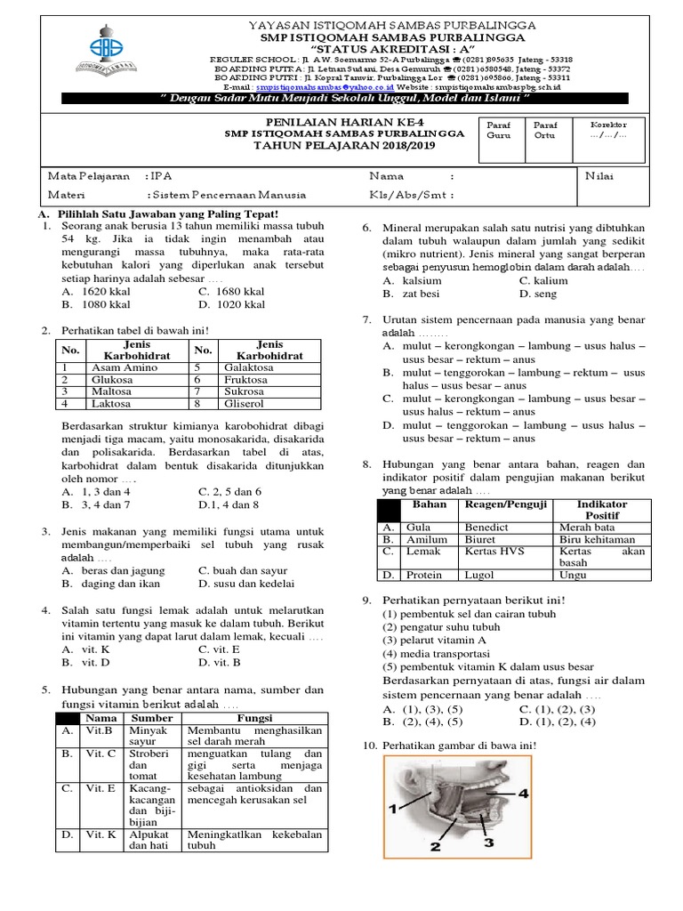 Perhatikan Gambar Sistem Pencernaan Dibawah Ini