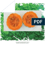 Documento_de_diagnostico_de_las_especies_cultivadas_de_cucurbita_l.pdf