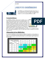 CRUZAMIENTO DIHÍBRIDO