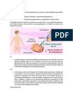 P5 HS Introducción Fundamento