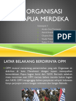 Organisasi Papua Merdeka Kel.3