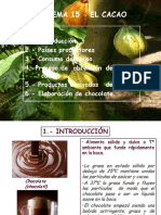 TEMA 6. Cacao.pdf