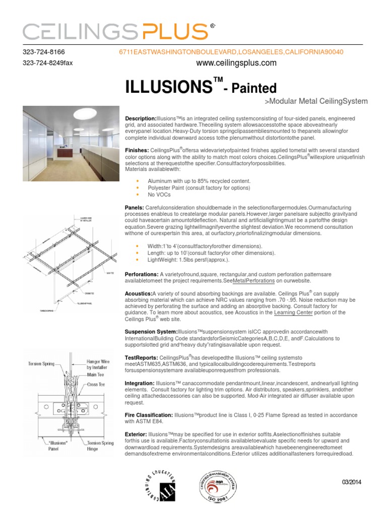 Illusions Painted Ceiling Building Engineering