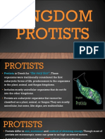 Kingdom Protists