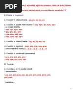 Scheme Si Materiale Verbale Pentru Consolidarea Sunetelor (1)