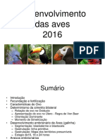 Aula 10 Desenvolvimento Das Aves