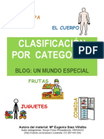 Clasificación Por Categorías PDF