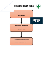 Struktur Organisasi Program Imunisasi