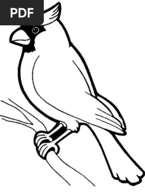 95 Sketsa Gambar Burung Kecil Gratis