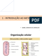 Introdução ao Metabolismo Celular