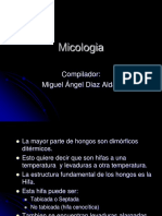 Atlas Micologia