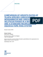 Tilapia Bioflocs Vs Ras