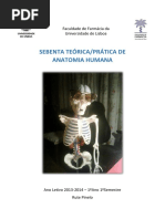 Sebenta Teórico-prática FFUL