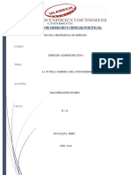 Derecho Adm Tutela Juridica Consumidor-converted