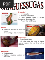 SANGUESSUGAS