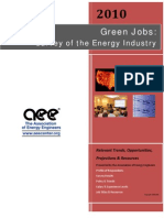Survey of The Green Energy Industry 2010