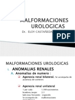 Tuberculosis Urogenital