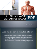 Struktur Dan Fungsi Sistem Muskuloskeletal