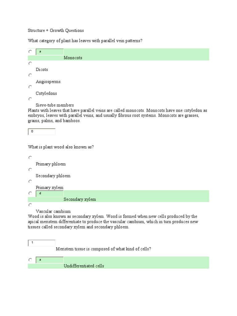 Plant Study Questions Tissue (Biology) Leaf