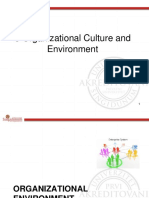 3 Organizational Culture and Environment