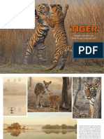 NPL Mission Tiger