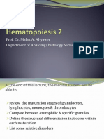 4 Haematopiosis 2