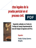 Aspectos Legales Pericial Proceso Civil