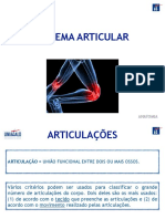 Sistema Articular PDF