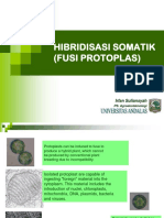 Fusi Protoplast Describes Somatic Hybridization