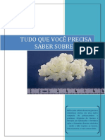 95163059-TUDO-QUE-VOCE-PRECISA-SABER-SOBRE-KEFIR.pdf