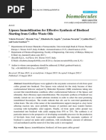 Biomolecules: Lipases Immobilization For Effective Synthesis of Biodiesel Starting From Coffee Waste Oils