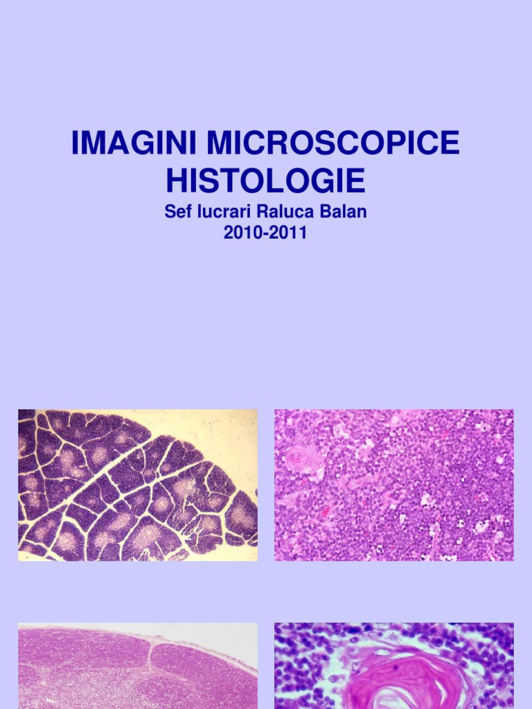 Imagini Microscopice Histologie | PDF