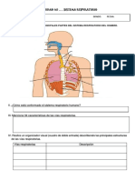 FICHA DE TRABAJO SISTEMA RESPIRATORIO.docx