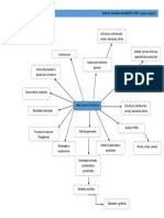 Mapa Conceptual