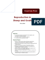 Chapter 5_ Reproduction in Sheep and Goats