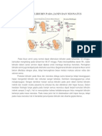 Metabolisme Bilirubin Pada Janin Dan Neonatus