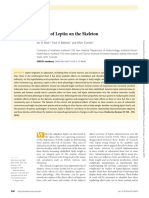 Effects of Leptin On The Skeleton