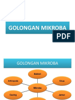 Golongan Mikroba