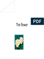 The Flower